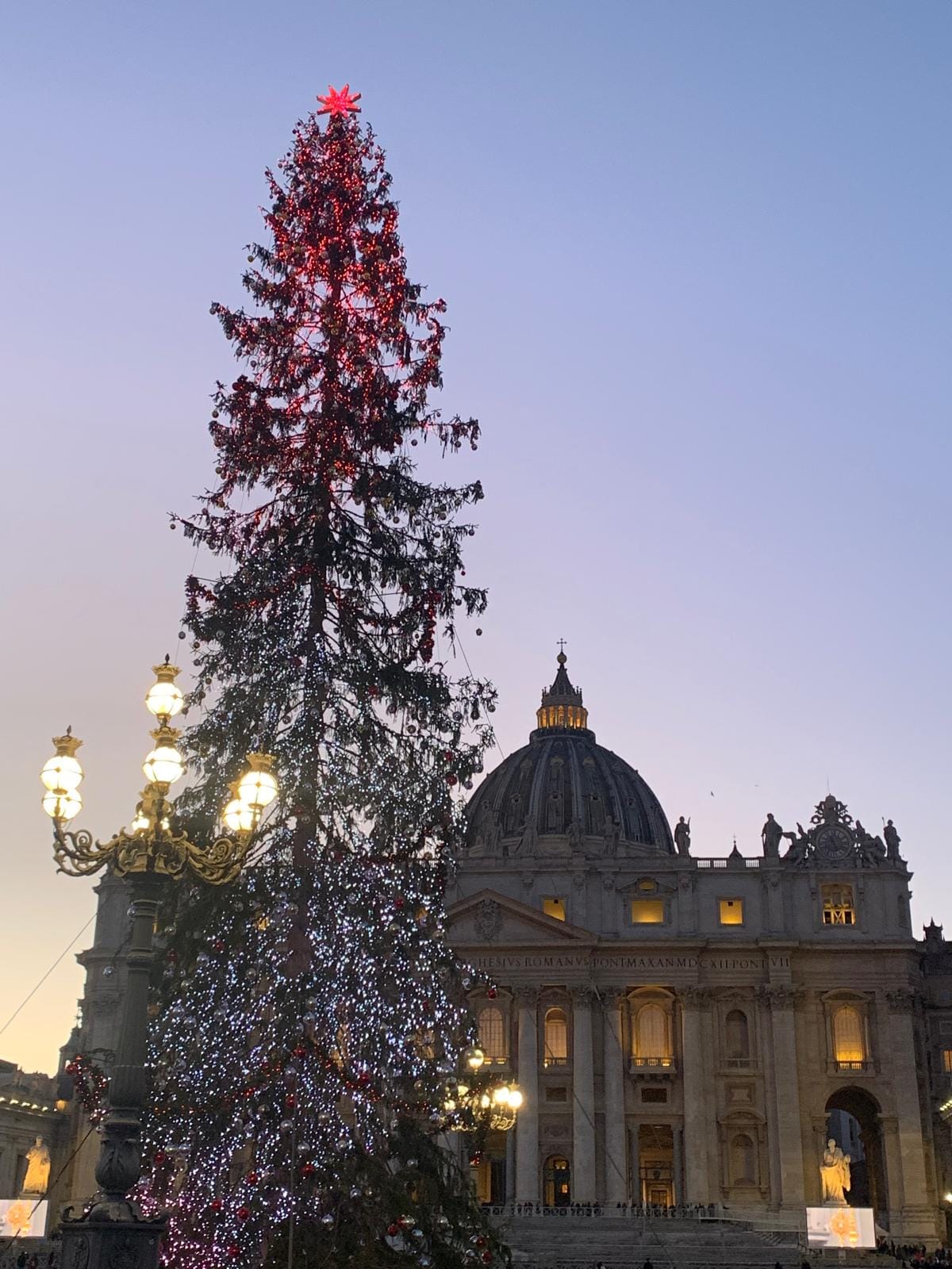 Un simbolo di fede e speranza: l’albero di Natale in Vaticano